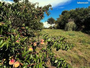 Terrain 8 400 m² Bain De Bretagne