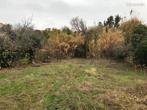 Terrain constructible