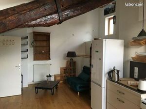 Appartement atypique hypercentre Grenoble