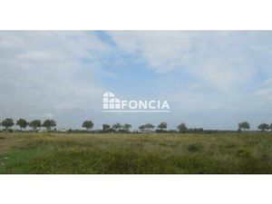 Saint HIPPOLYTE terrain agricole de 20000 mètres carrés