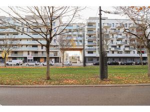 STUDIO - DIJON NATION