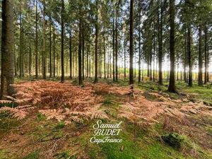 Terrain constructible viabilisé à vendre