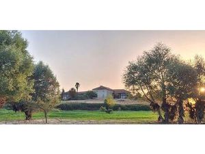 Achat : Maison (32140)