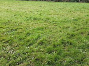 Terrain situé sur Merlevenez