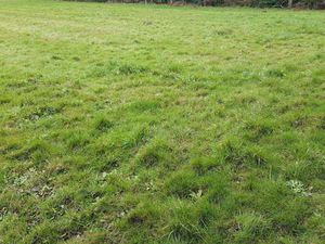 Vente Terrain à Merlevenez (56700) : à vendre / 380m² Merlevenez