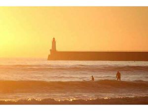 Vente Bureaux et commerces aux Sables-d'Olonne (85100) : à vendre / Les Sables-d'Olonne