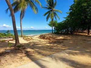 VIATTE Carole Capifrance