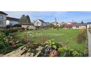 THOMAS VIENNOIS BSK IMMOBILIER