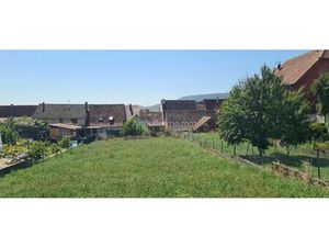 Vente Terrain 677 m2 à Obermorschwihr