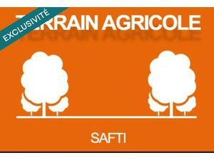 Terrain Agricole à Proximité de la forêt