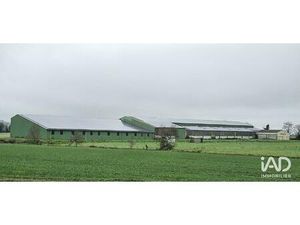 Vente Hangar 4 500 m²