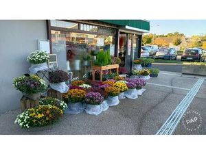 Brie-Comte-Robert (77170)