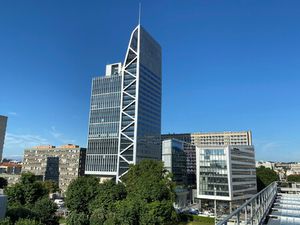 Location Local Professionnel 335m²