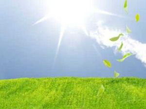 Achat Terrain 5 951m²