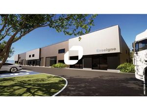 Vente Local d'activités Reichstett 67116