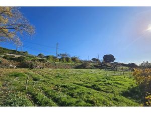 Annonce terrain à vendre