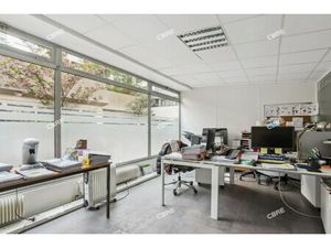 Achat Local Professionnel 250m²