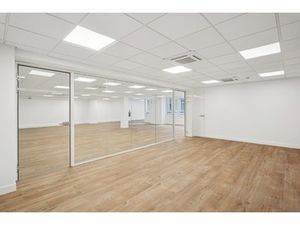 Location Local Professionnel 251m²