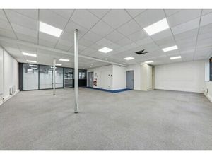 Location Local Professionnel 300m²