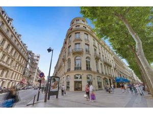 Location Local Professionnel 242m²