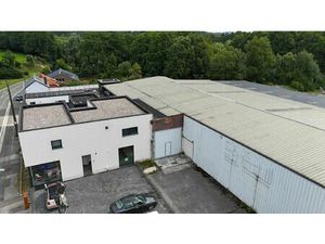 Surface industrielle à vendre à Rue de la Septieme D.I. Francaise 13 Virton (VBD63744)