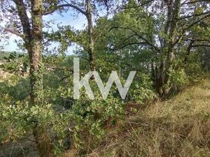 Terrain bois Castres