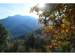 Vente terrain 18305m2 Arles-sur-Tech 66150 - 75000 € - Surface Privée