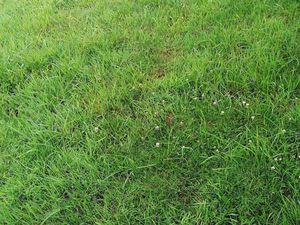 Vente Terrain à Plouha (22580) : à vendre / Plouha