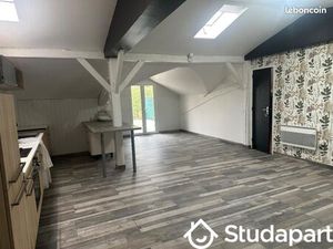 Appartement 7 pièces 110 m²