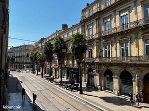 Loue appartement 123 m2 centre-ville Montpellier