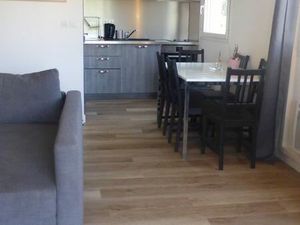 Magnifique grand T2 meublé  climatisé  refait à neuf - Terrasse