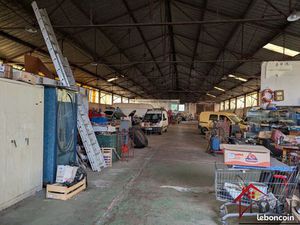 Terrain 3 pièces 6000 m²