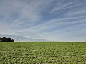 Très belle parcelle de terrain à bâtir dans un environnement