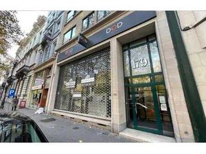 Av Louise : 430m2 - vitrine XL.