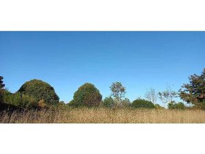 Terrain constructible viabilisé à vendre