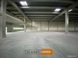 Local d'activité 600 m²