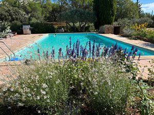 Cotignac  à vendre grande propriété 4/5 chambres  5022m² de terrain  piscine et oliviers..