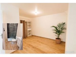 Grand 2 pièces rénové