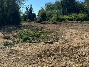 Terrain constructible viabilisé à vendre