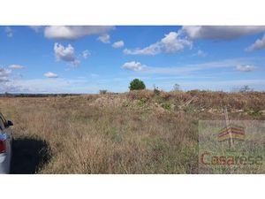 Vente terrain 1996 m² à Manduel (30129)  25 000 €