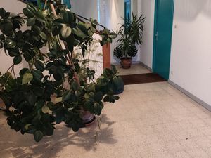 Vente Immeuble 271 m²