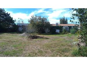 Vente terrain à batir 1388 m² à La Flotte (17630)  1 260 000 €