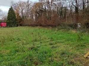 Vente terrain 777 m² à Vaucourtois (77580)  148 000 €