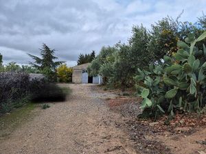 Terrain constructible