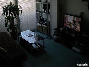 T2 meublé 38 m2 centre ville