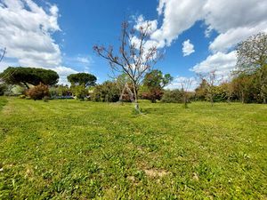 Terrain constructible  viabilisé et arboré de 978 m²