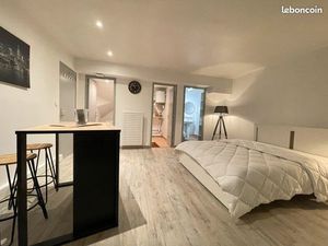 Grand studio Orléans Hyper-centre