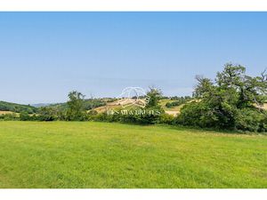 Vue panoramique  volumes et possibilité chevaux – Cadre de vi