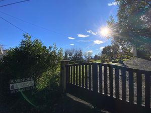 ARISTIMMO MONEIN Loupien !