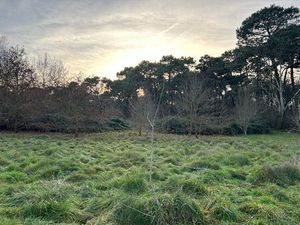 Terrain constructible de 3006 M2 - Eysines quartier le Pinsan